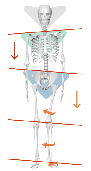 Skeleton diagram showing the spinal segments ELDOA postures decompress